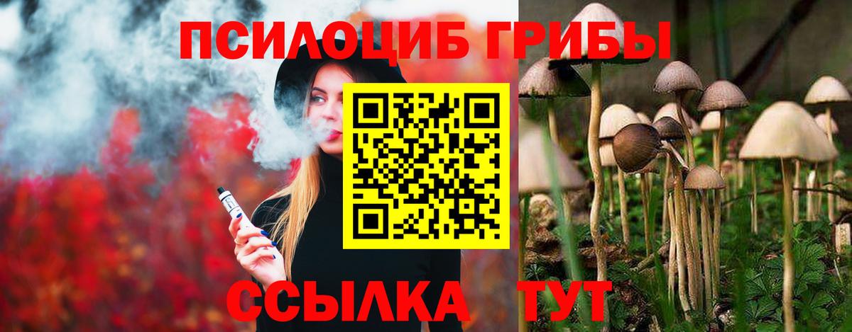 Галлюциногенные грибы Psilocybine cubensis Егорьевск