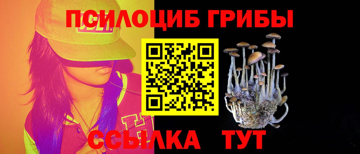 Егорьевск  Галлюциногенные грибы Cubensis  Вход с VPN  Галлюциногенные грибы GOLDEN TEACHER 